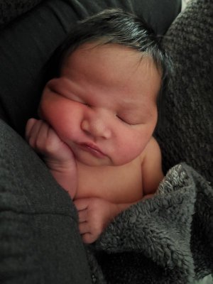 baby Jolene 7-7-2023.jpeg