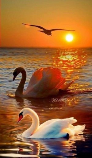 FB_IMG_1684715895953.jpg FB_IMG_1684715895953.jpg