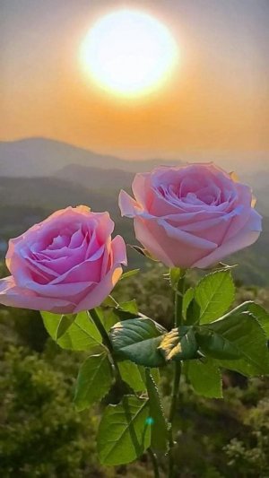 FB_IMG_1688549114198.jpg FB_IMG_1688549114198.jpg