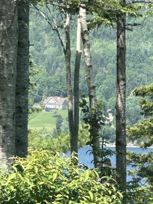 IMG_0474.jpeg
