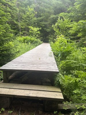 IMG_0508.jpeg IMG_0508.jpeg