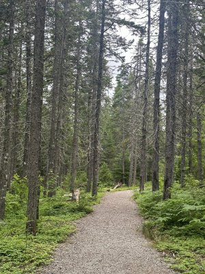 IMG_0499.jpeg IMG_0499.jpeg