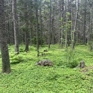 IMG_0501.jpeg IMG_0501.jpeg