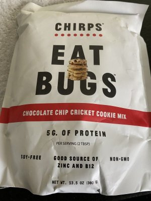 IMG_3862.jpg IMG_3862.jpg