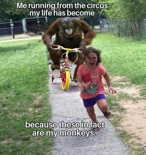 347288772_150350891220033_8215973043126912627_n.jpg
