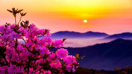 2456132-bigthumbnail[1].jpg