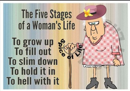 five stages.jpg