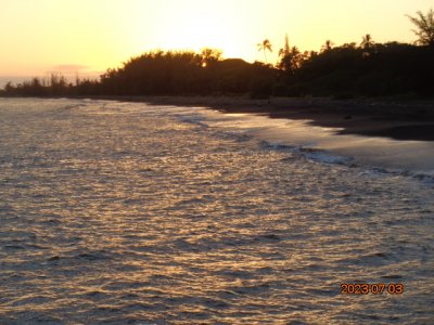 DSC01893.JPG