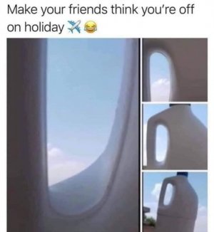 IMG_3646.jpeg