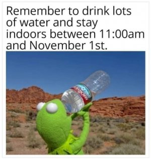359198630_615322937452587_8401731379902301446_n.jpg