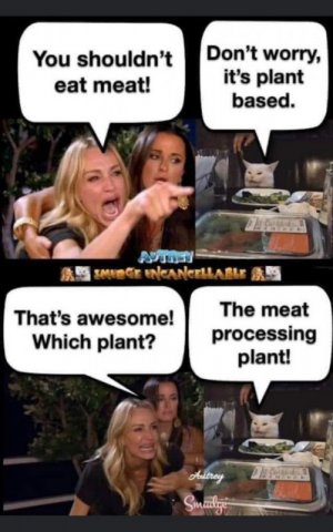 FB_IMG_1688953901089.jpg