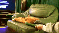 received_1576450276094155.gif