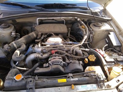 Forester-steamcl1.jpg
