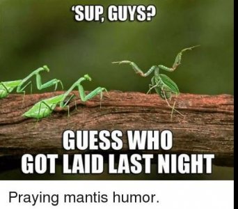 A.JPG