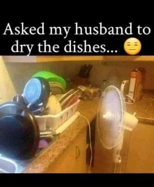 IMG_3694.jpeg