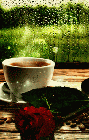 638e186cb498412200d0160bb1d78be3.gif