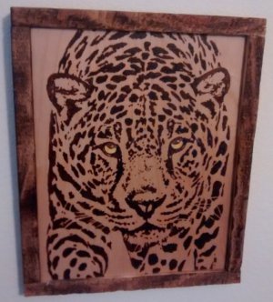 Jaguar.jpg