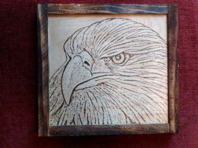Eagle Head.jpg