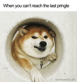 1689364817699.jpeg