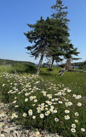 IMG_0547.jpeg