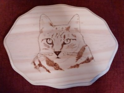 Adios Woodburning.jpg