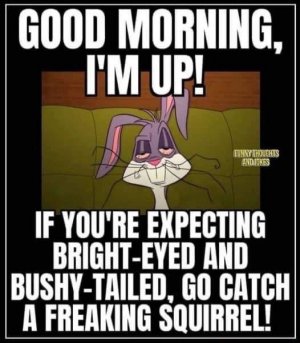 IMG_3645.jpeg