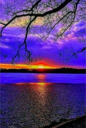 FB_IMG_1686640364131.jpg