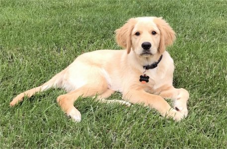 3 and a half months.jpg 3 and a half months.jpg