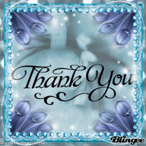 TY Elegant Blut.gif