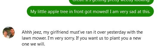 lawn.jpg
