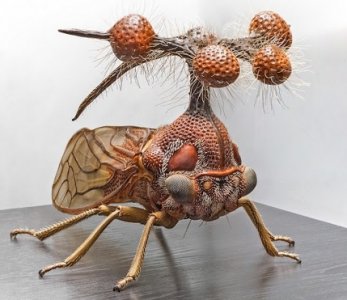 treehopper.jpg