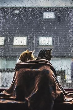 1e9580e3480dc1edff846f96c58c0ac4.jpg