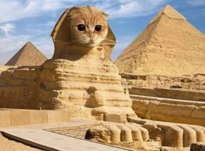 catshphinx.jpg