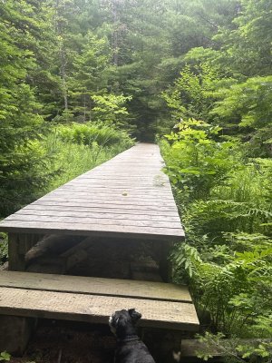 IMG_0507.jpeg