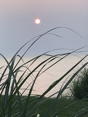 Smokey Sunset1.jpg