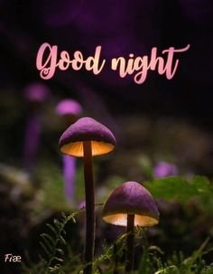 9dd155f28afa3644c307957da91ff2cc.jpg