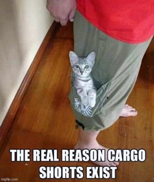 cargoshorts.jpg