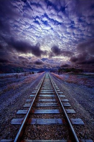 tumblr_f67973614754fa5da482466bb5912448_129f857b_500.jpg