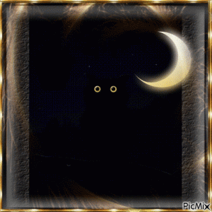 cd6e1402c6829b22b91fc70839a74ac6[1].gif