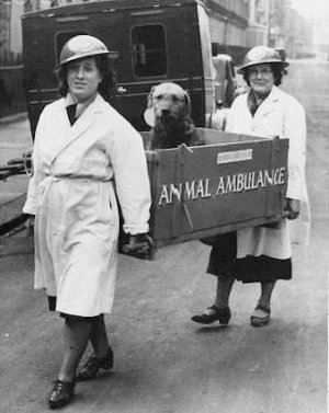 Ambulance @.jpg