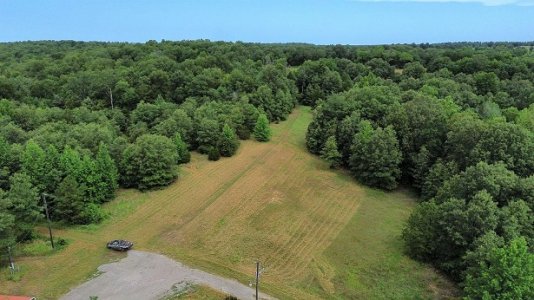 north meadow.jpg north meadow.jpg