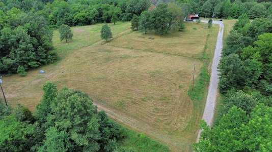 east meadow.jpg east meadow.jpg