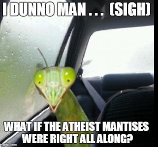 d.JPG