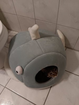 Deja Moved Bed.jpg
