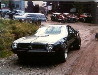 transam #2.jpg