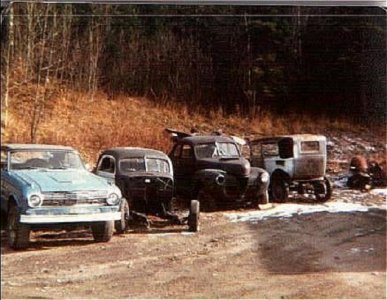 28 36 41 falcon.jpg 28 36 41 falcon.jpg