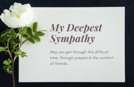 IMG_0632.jpeg IMG_0632.jpeg