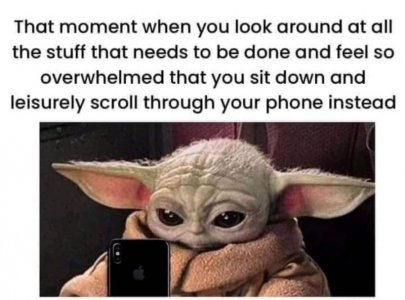 IMG_3796.jpeg
