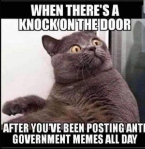 govt meme joke 4 s.jpg