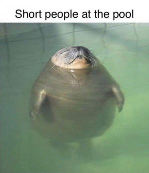 IMG_3808.jpeg